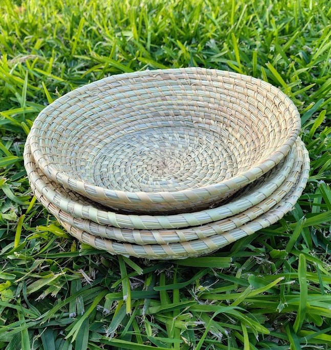 Paneritas - Palma Caranday