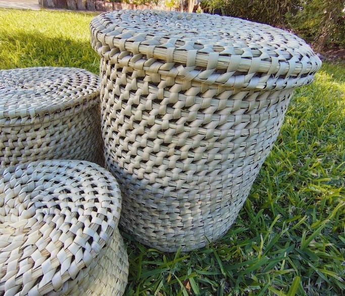 Canasto con tapa 30x32cm - Palma Caranday 