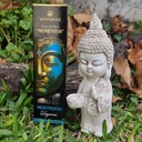 Sahumerios Momentos - Aromanza